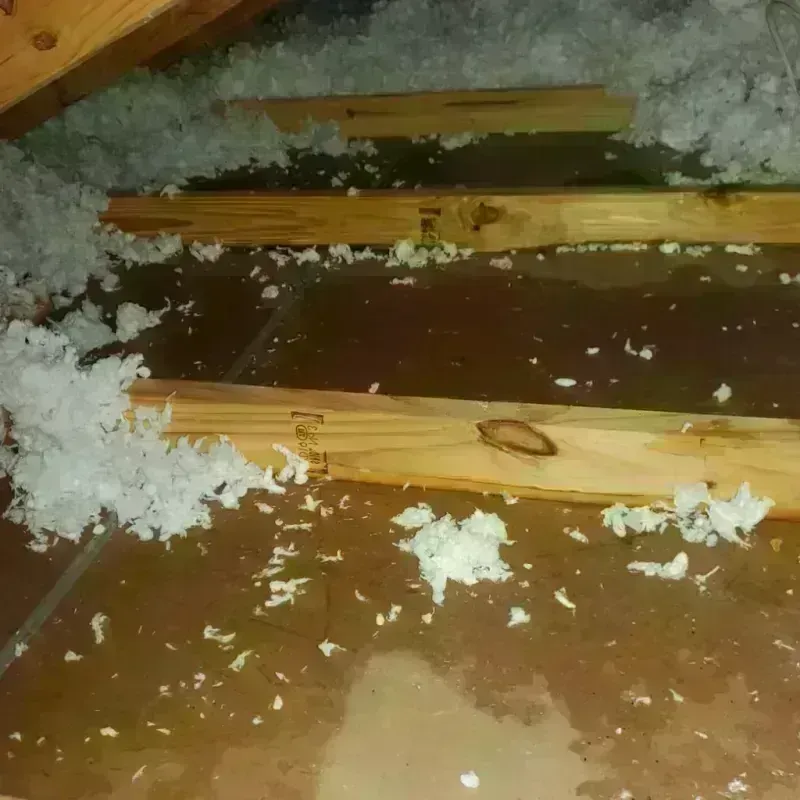 Attic Water Damage in Manvel, TX