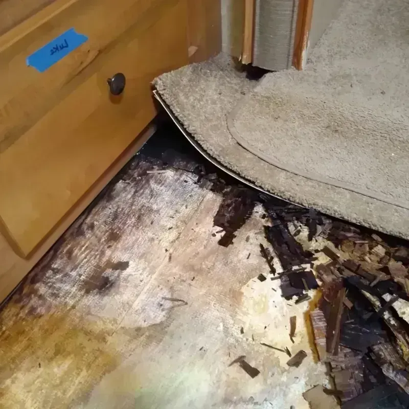 Wood Floor Water Damage in Manvel, TX